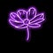 cosmos flower spring neon glow icon illustration