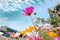 Cosmos flowers field at out door ,nature