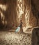 Cosplayer girl portrays character Rey Skywalker from the Star Wars universe with lightsaber in her hand among sandy canyon