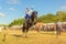 A Cossack girl rides a horse and performs tricks