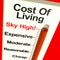 Cost Of Living Expenses Sky High
