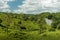 Costa Rica landscape from Boca Tapada, Rio San Carlos. Riverside with meadows and cows, tropical cloudy forest in the background.