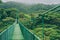Costa Rica travel hiking destination in Central America. Forest of Parque Nacional Corcovado. Suspended bridge in