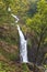 Costa Rican Rainforest Waterfall