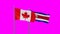 Costa Rico and Canada flag