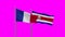 Costa Rico and France flag