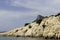 Costa smeralda ladscape of granite rock formation and vegetation in the sea shore of Sardinia, Italy