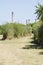 Costanera Sur ecological reserve. Natural landscape and chimneys