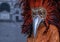 Costumed carnival-goer with red feathered mask standing in St Mark`s Square during Venice Carnival Carnivale di Venezia.