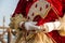 Costumed woman during venetian carnival, Venice, Italy