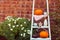Cosy composition with natural decor of pumpkins, candles, fall leaves in vase, cones and nuts on the steps of rung ladder on red b