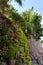 Cosy garden corner with lush plants