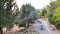 Cosy outdoor park surrounded by trees and an empty picnic space.