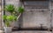 Cosy outside seating area in side of old house wall with Wooden bench and Potted Dracaena loureiri tree or Chan Pha tree