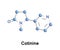 Cotinine alkaloid tobacco