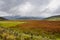 Cotopaxi National Park, Ecuador