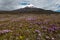 Cotopaxi volcano