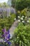 Cotswold cottage garden with Wisteria and Alliums, England