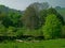 Cotswold landscape of trees and meadow.