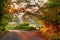 Cotswold lane at sunset