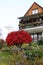 Cottage behind red tree