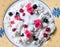 Cottage cheese with blueberries and lingonberries in a bowl for healthy breakfast