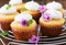 Cottage cheese cupcakes with meringue decorated flower