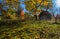 Cottage in a colorful fall landscape