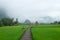 Cottage in farmland and mountain with mist