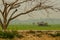 A cottage in field