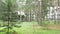 Cottage in the forest, surrounded by trees. Motion the camera through the panorama. A great background for your work.