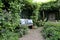 Cottage garden with blue and white flowers and bench with cushions