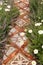 Cottage Garden Path with Bricks and Stone Pavers Surrounded by Daisies and Catmint Flowers