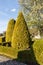 Cottage garden with topiary and trimmed bushes