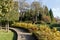 Cottage garden with topiary and trimmed bushes