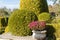 Cottage garden with topiary and trimmed bushes