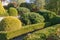 Cottage garden with topiary and trimmed bushes