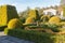 Cottage garden with topiary and trimmed bushes