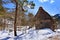 Cottage at Gassho-zukuri Village