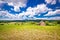 Cottage in idyllic agricultural landscape