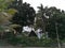 Cottage inside the rainforest with trees around