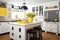 a cottage kitchen featuring white cabinetry, yellow accents, and black details