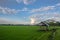 A cottage in the paddy field