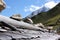 Cottage roof in Alps