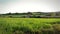 Cottage ruins in the countryside of Catalonia