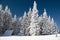 Cottage under snow in winter forest