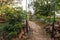 Cottage vegetable garden scene with plants growing in old corrugated iron water tanks