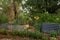 Cottage vegetable garden scene with plants growing in old corrugated iron water tanks