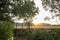 Cottage vegetable garden scene with plants growing in old corrugated iron water tanks