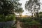 Cottage vegetable garden scene with plants growing in old corrugated iron water tanks